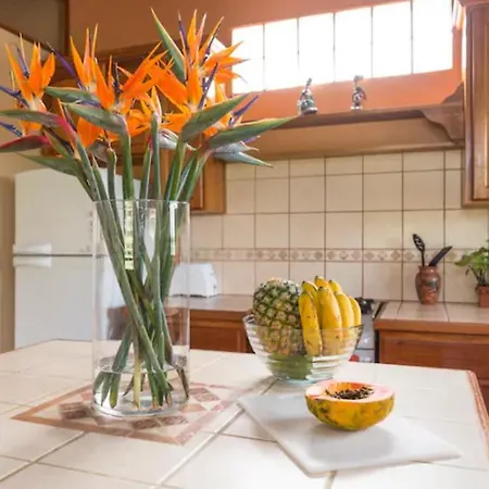 Coffee Garden Ranch Costa Rica Apartment Concepcion  Exterior photo