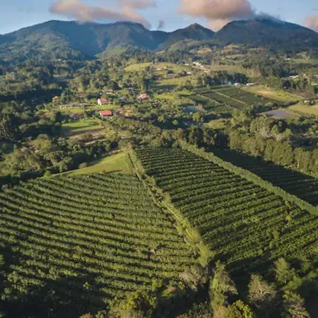 Coffee Garden Ranch Costa Rica Apartment Concepcion  Exterior photo