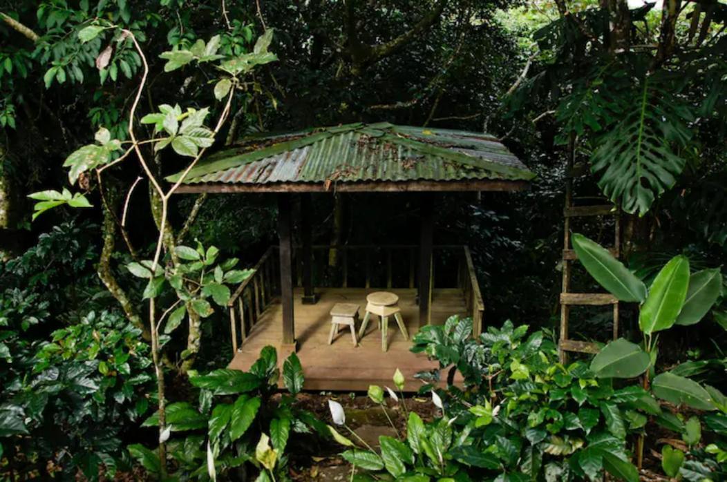 Coffee Garden Ranch Costa Rica Concepcion (Heredia)