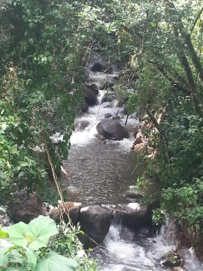 Apartment Coffee Garden Ranch Costa Rica *
