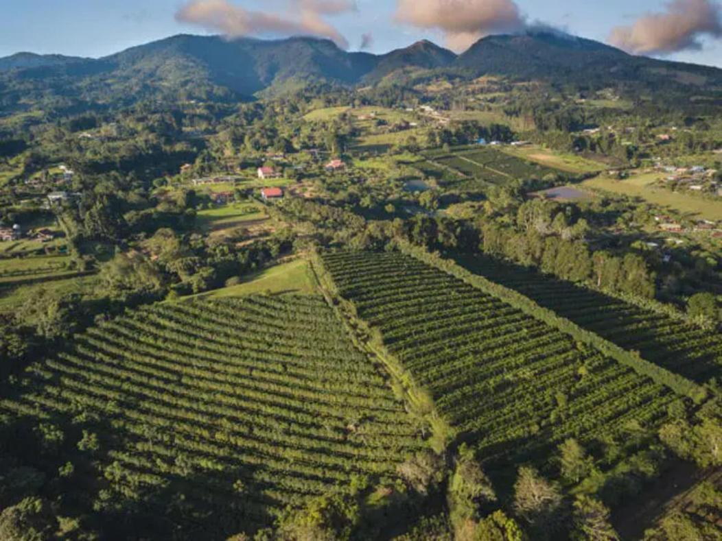 Apartment Coffee Garden Ranch Costa Rica