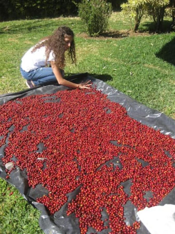 Coffee Garden Ranch Costa Rica *