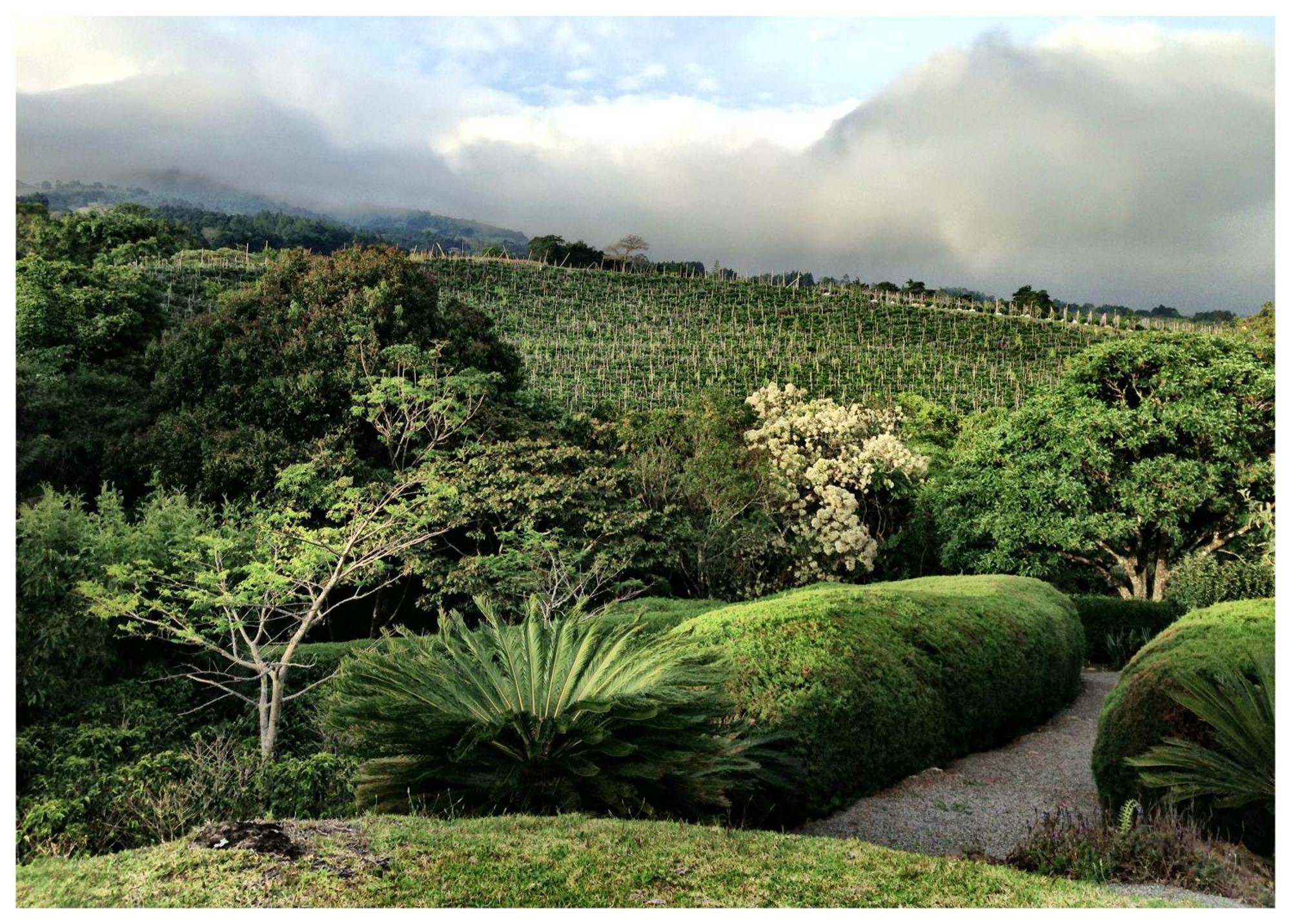 Coffee Garden Ranch Costa Rica Appartement